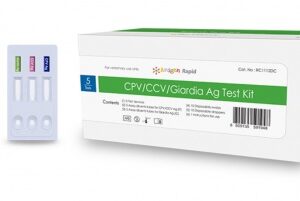 TESZT BIONOTE CPV/CCV/GIARDIA 5X