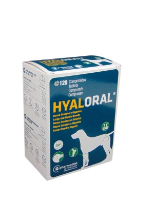 HYALORAL LARGE TABL. 120X