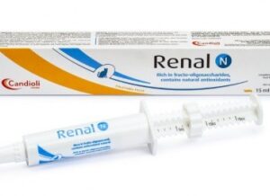 RENAL N ORAL PASZTA 15 ML