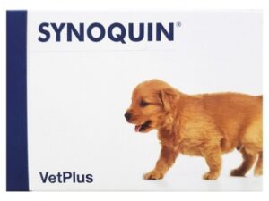 SYNOQUIN GROWTH 60X