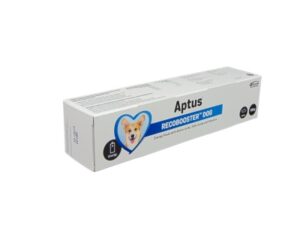 APTUS RECOBOOSTER DOG PASZTA 100 G