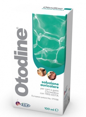 OTODINE 100 ML